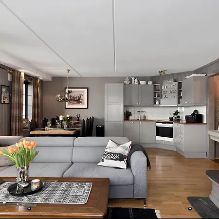 Stylish Ski-in Ski-out With Sauna & Fjord View *